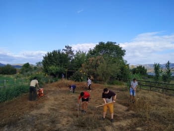 El projecte d’agricultura social Llavors d’Oportunitats d’Alba Jussà posa a la venda llavors tradicionals recuperades del Pallars Jussà.